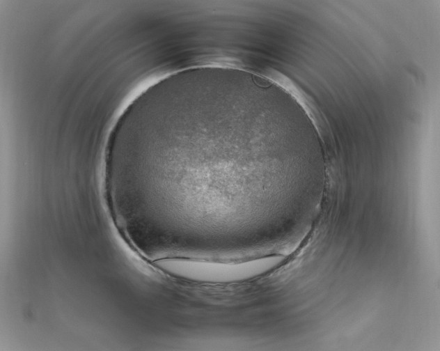 X0000112011147200908031302