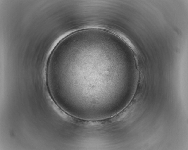 X0000112011148200908031302