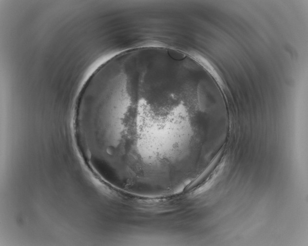 X0000112011149200908031302