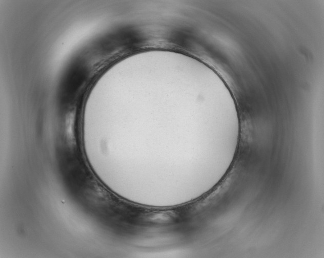 X0000112011150200908031302
