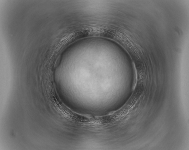X0000112011153200908031301