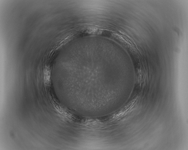 X0000112011154200908031301