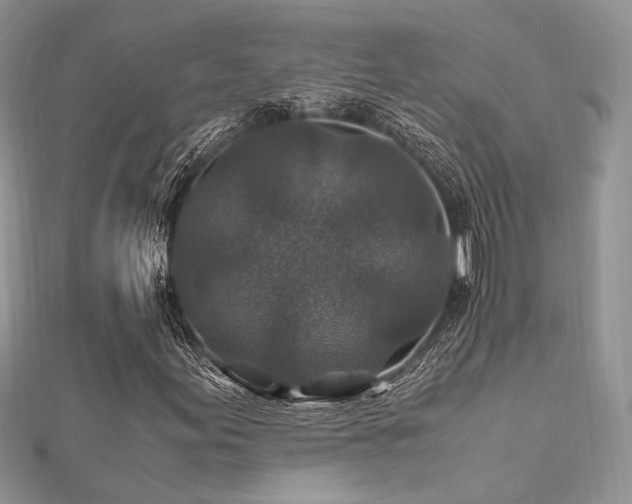 X0000112011155200908031301