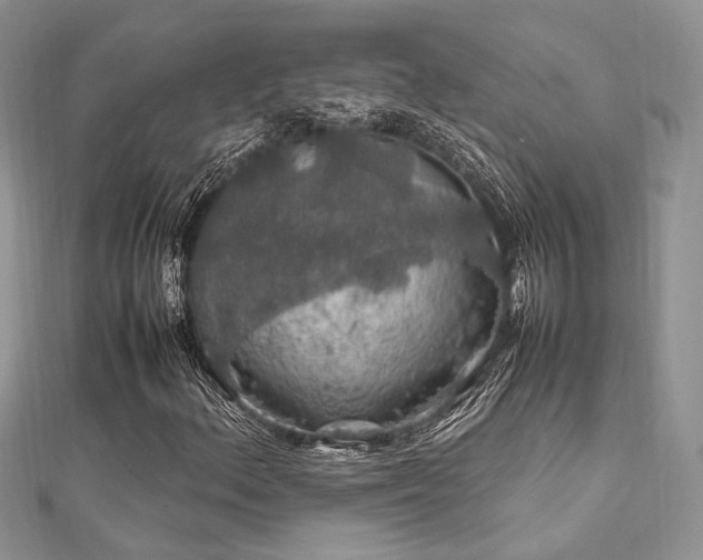 X0000112011156200908031301