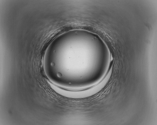 X0000112011157200908031301