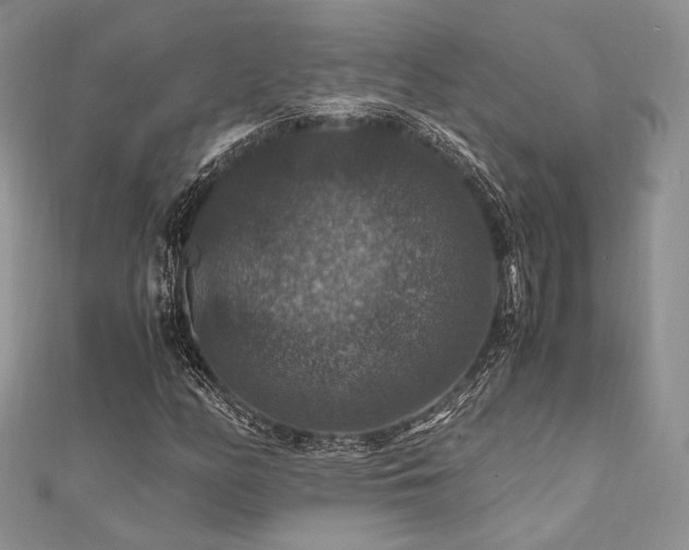 X0000112011158200908031301