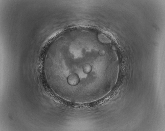 X0000112011159200908031301