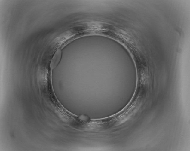 X0000112011161200908031301
