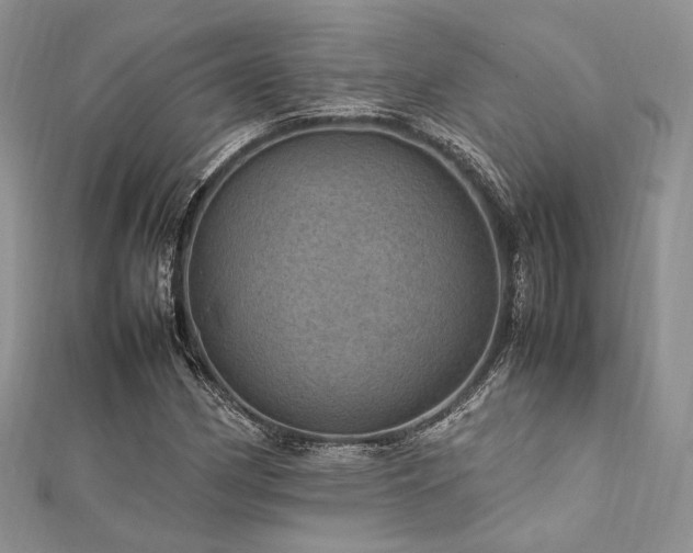 X0000112011162200908031301