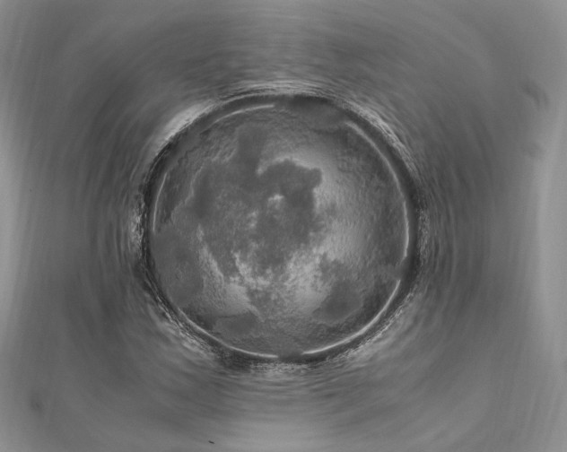 X0000112011163200908031301