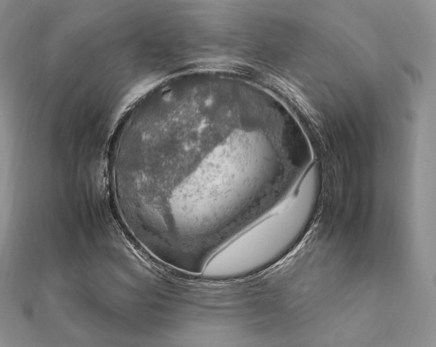 X0000112011164200908031301