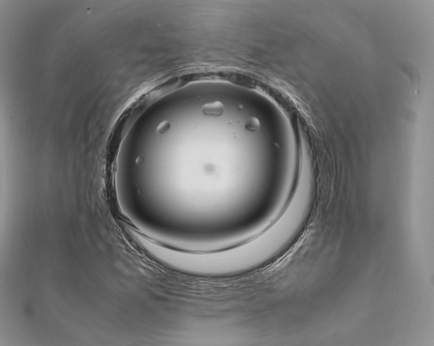 X0000112011165200908031301