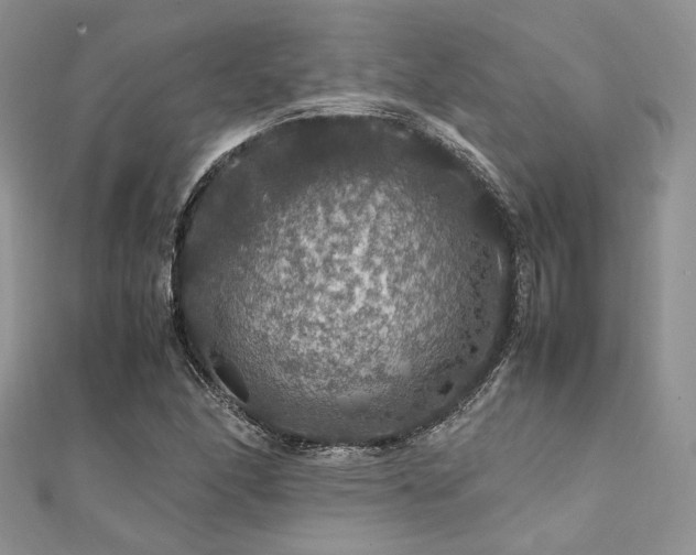 X0000112011166200908031301