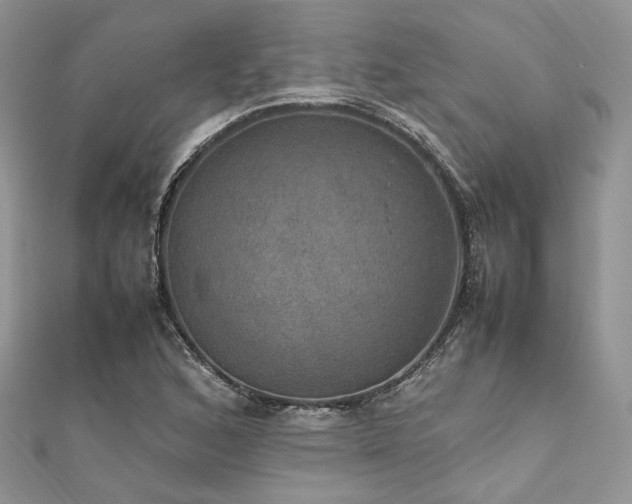 X0000112011168200908031301