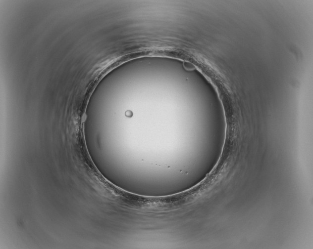 X0000112011169200908031301