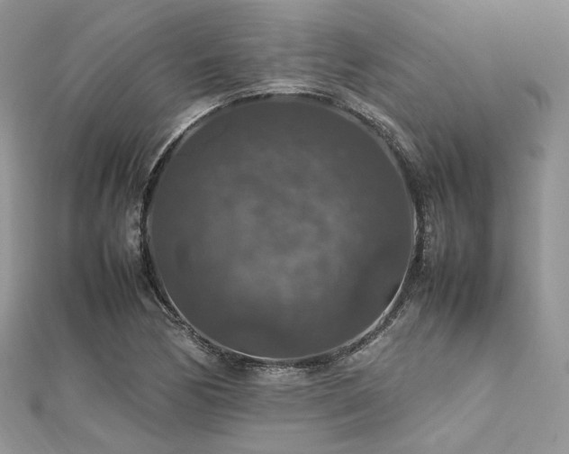 X0000112011170200908031301