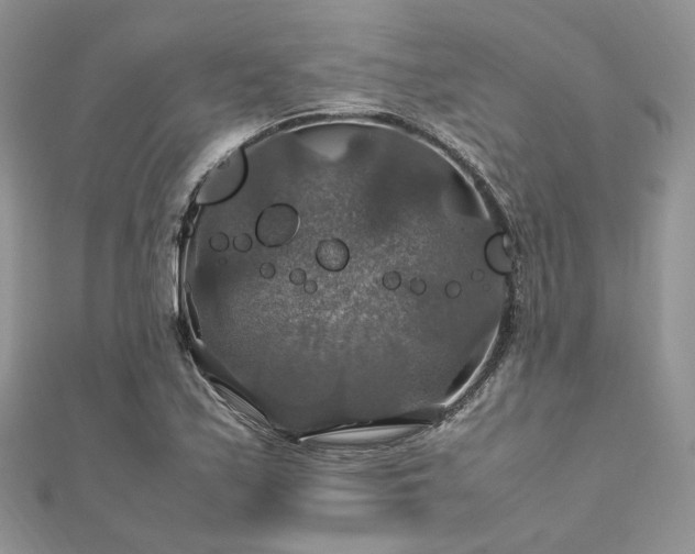 X0000112011171200908031301