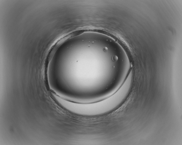 X0000112011173200908031301