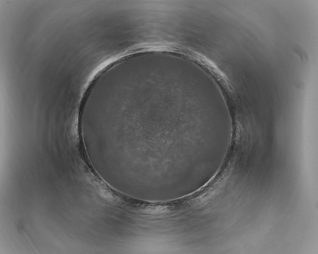 X0000112011174200908031301