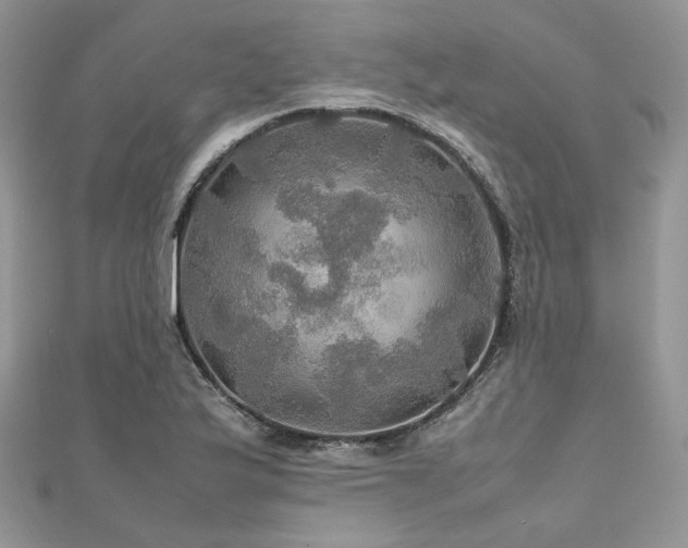X0000112011175200908031301