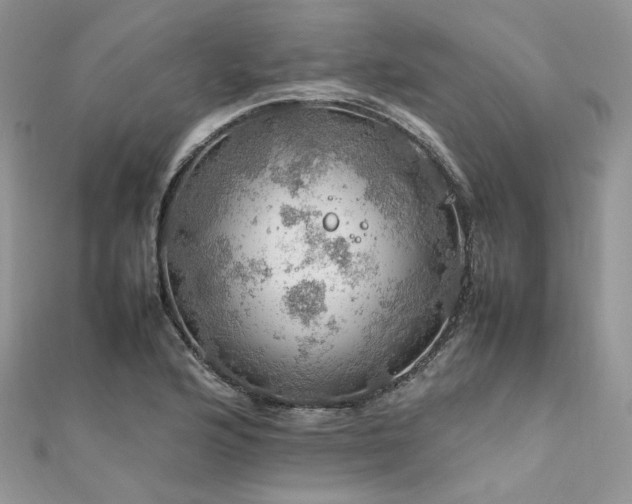 X0000112011176200908031301