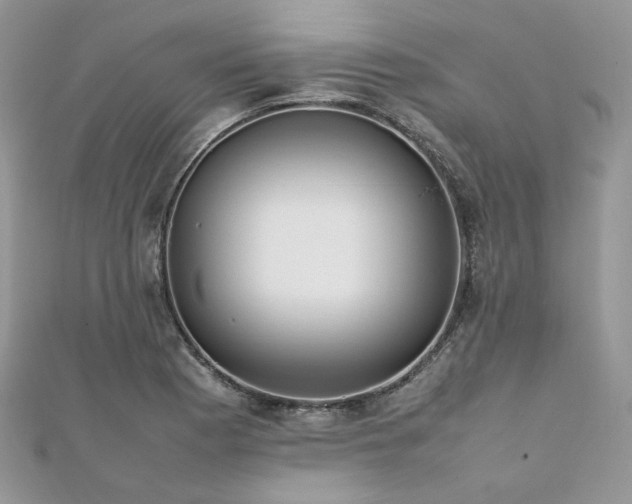 X0000112011177200908031301