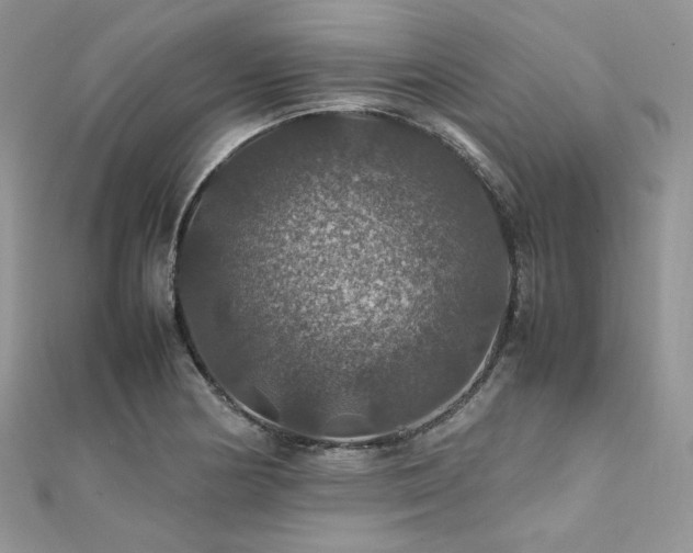 X0000112011178200908031301