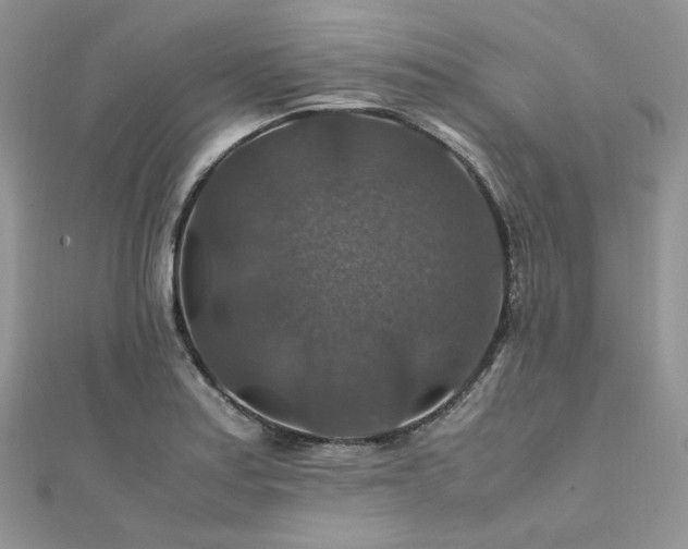 X0000112011179200908031301