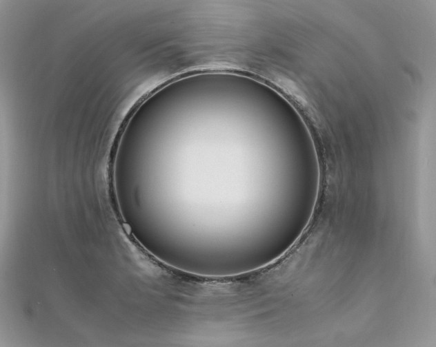 X0000112011181200908031301