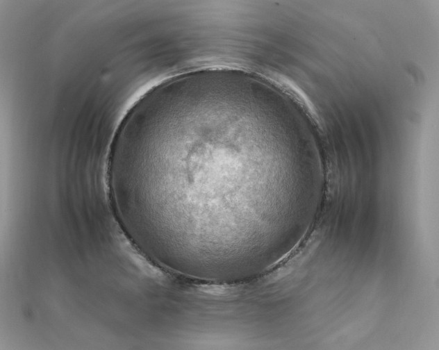 X0000112011182200908031301