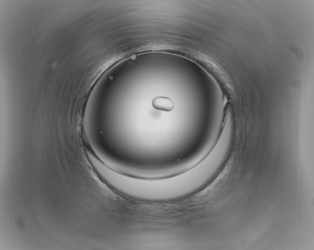 X0000112011185200908031300