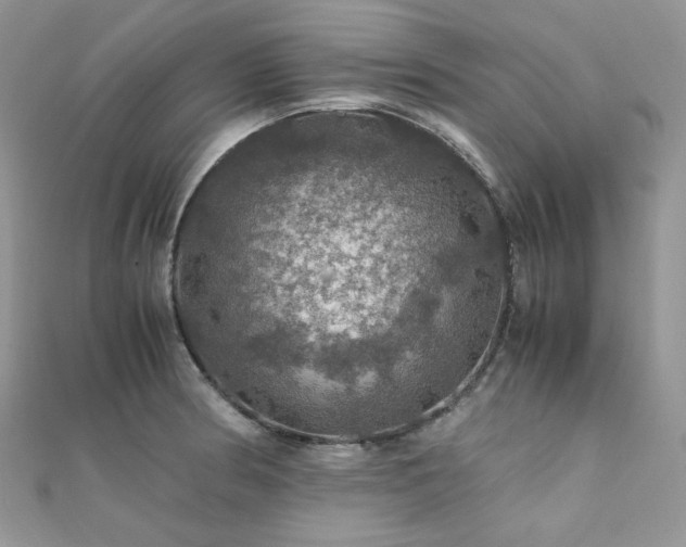 X0000112011186200908031300