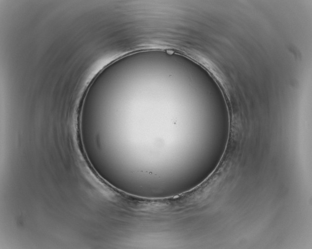 X0000112011187200908031300