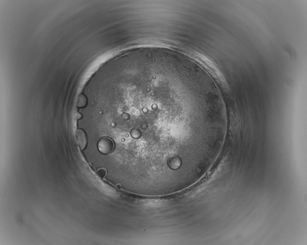 X0000112011188200908031300