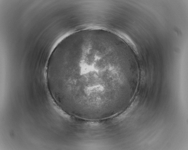 X0000112011190200908031300