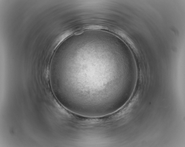 X0000112011193200908031300