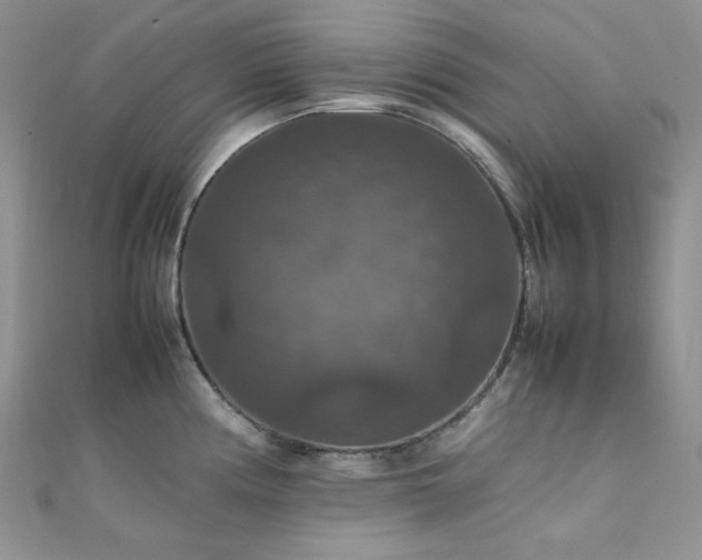 X0000112011194200908031300