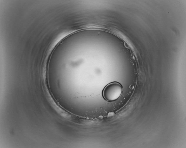 X0000112011195200908031300