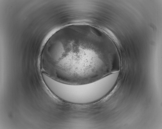 X0000112011196200908031300