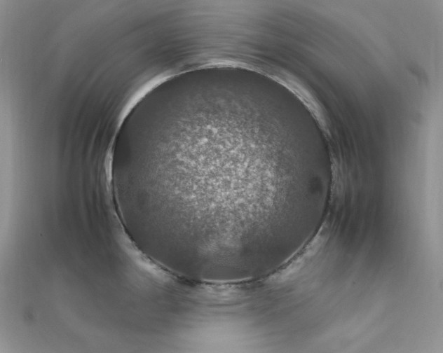 X0000112011198200908031300