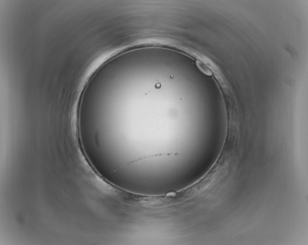X0000112011199200908031300