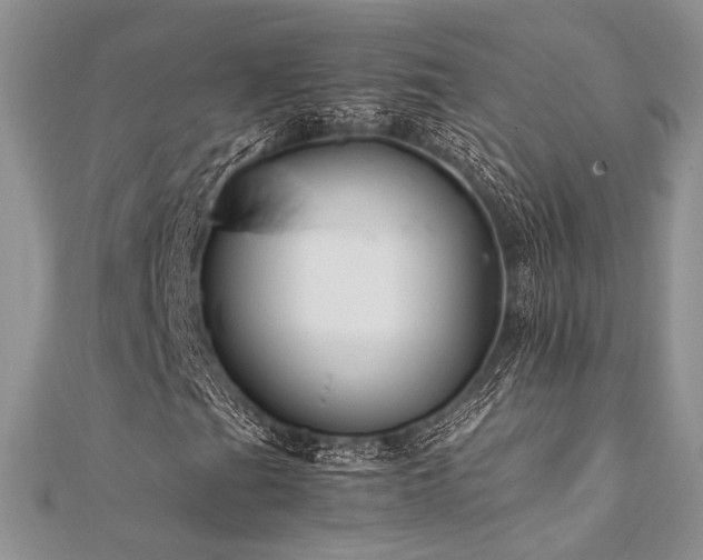 X0000112011201200908031300