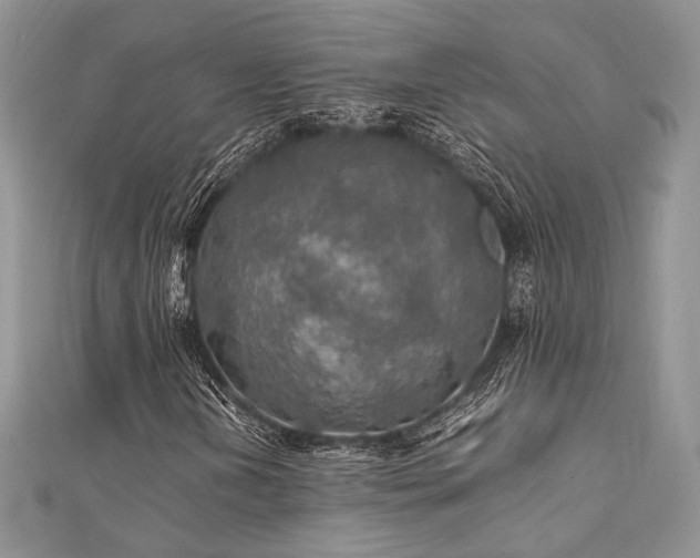 X0000112011202200908031300
