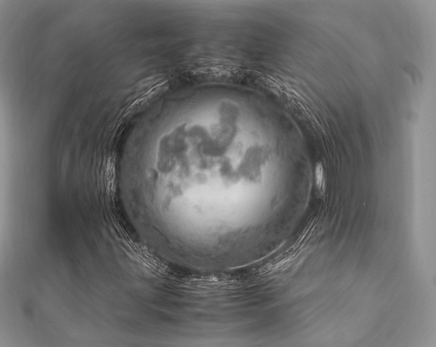 X0000112011203200908031300