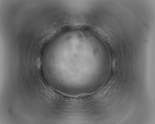 X0000112011204200908031300