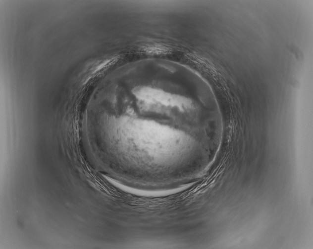 X0000112011205200908031300