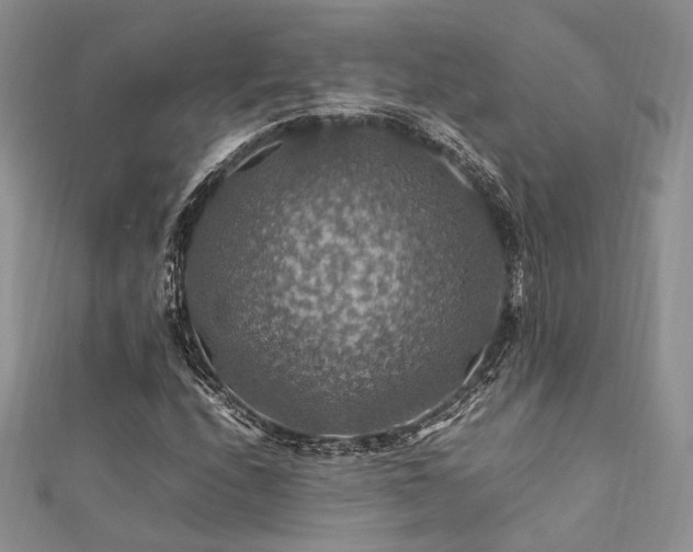 X0000112011208200908031300