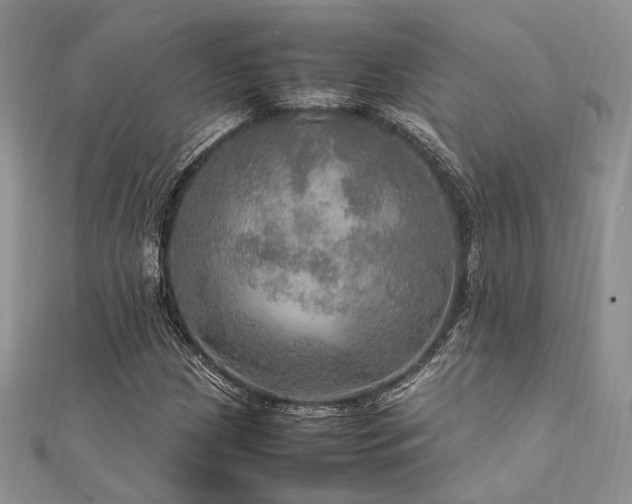 X0000112011209200908031300