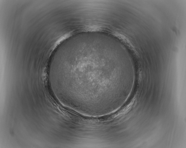 X0000112011210200908031300