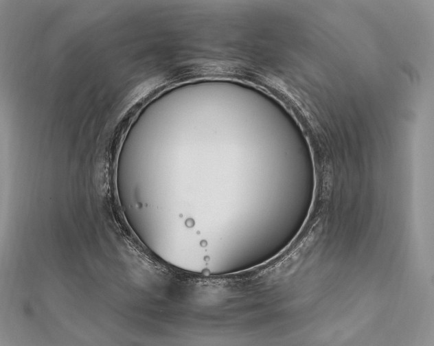 X0000112011211200908031300